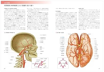 カラー図解 人体の正常構造と機能 第2巻 循環器 【改訂第5版